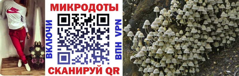 Галлюциногенные грибы прущие грибы  Коммунар 