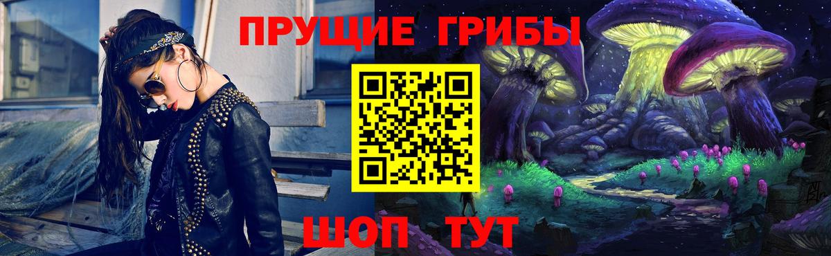 Коммунар  магазин продажи   Вход с VPN  Галлюциногенные грибы GOLDEN TEACHER 